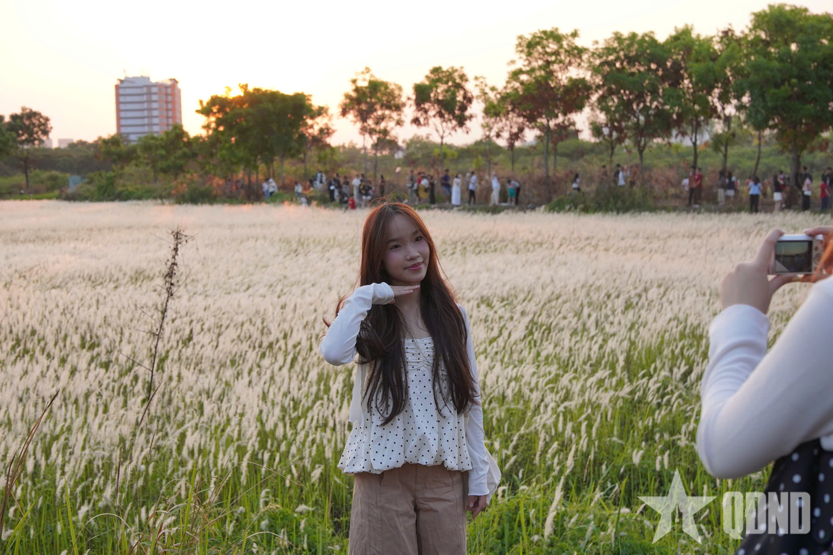 TP Hồ Chí Minh: Người dân thích thú ngắm cánh đồng cỏ lau ở 