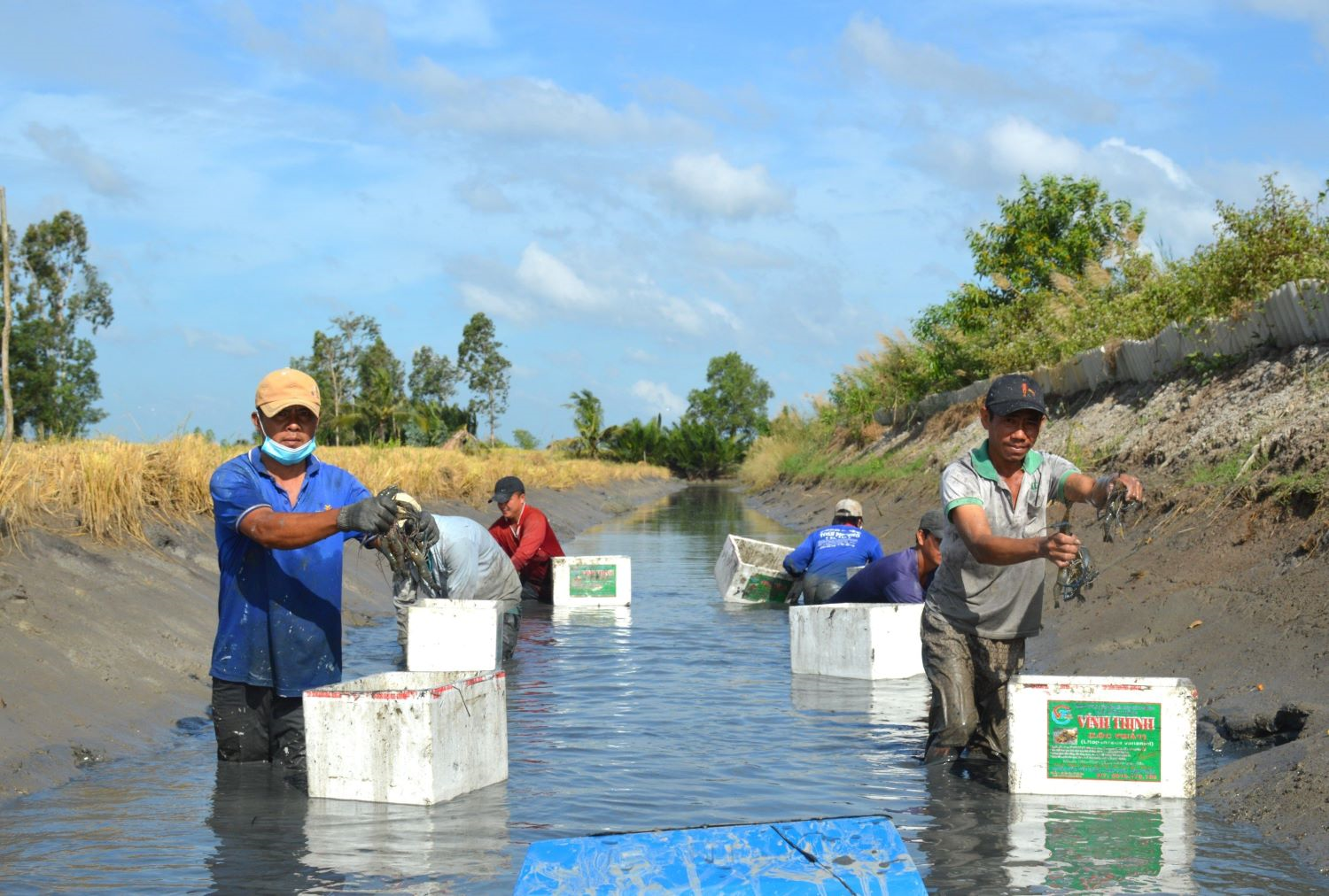 Sinh kế Đồng bằng sông Cửu Long trước “vòng xoáy” di cư