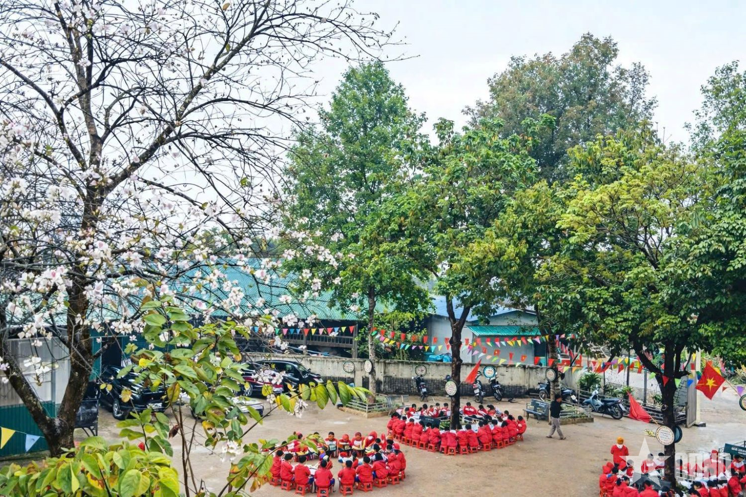 Dưới sắc hoa ban, ươm mầm tri thức nơi vùng biên Keng Đu