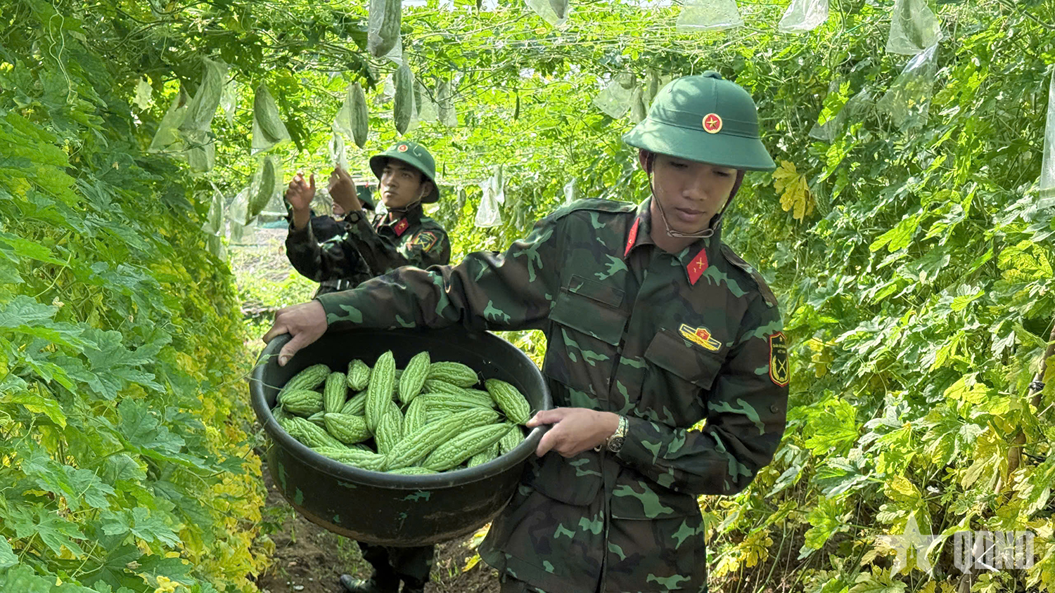 Cảm xúc lần đầu tăng gia của chiến sĩ mới ở Trung đoàn 20