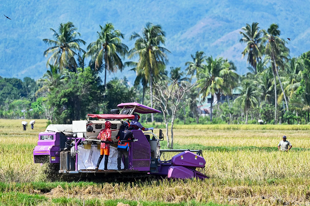 Khó khăn bủa vây nguồn cung lương thực toàn cầu