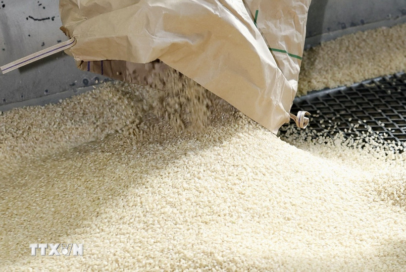 Chi phí vận tải tăng cao, thị trường gạo và ngũ cốc chịu áp lực