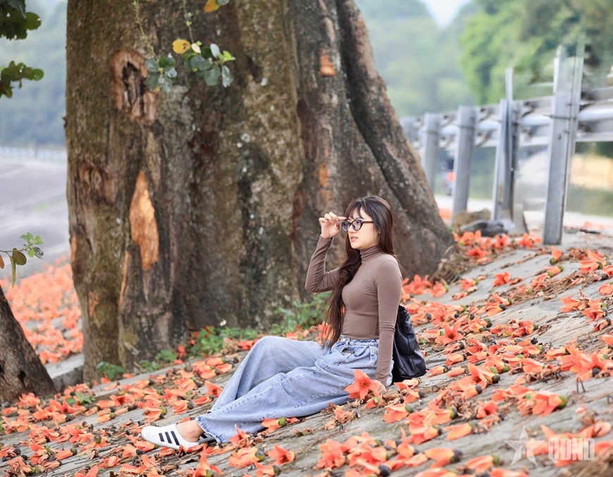 Tháng Ba, hoa gạo đỏ triền sông