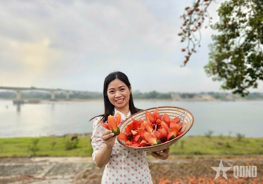 Tháng Ba, hoa gạo đỏ triền sông