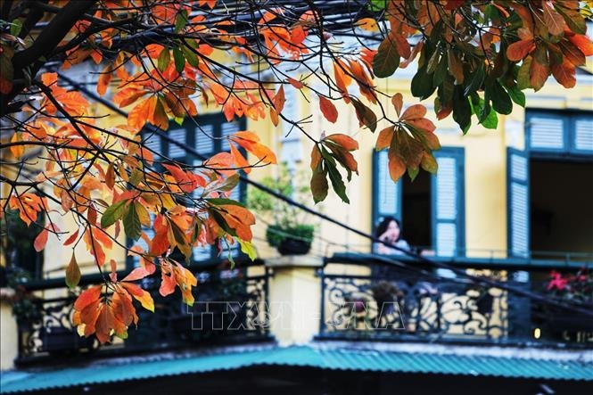 Thời tiết hôm nay (26-3): Bắc Bộ sáng sương mù, trưa hửng nắng
