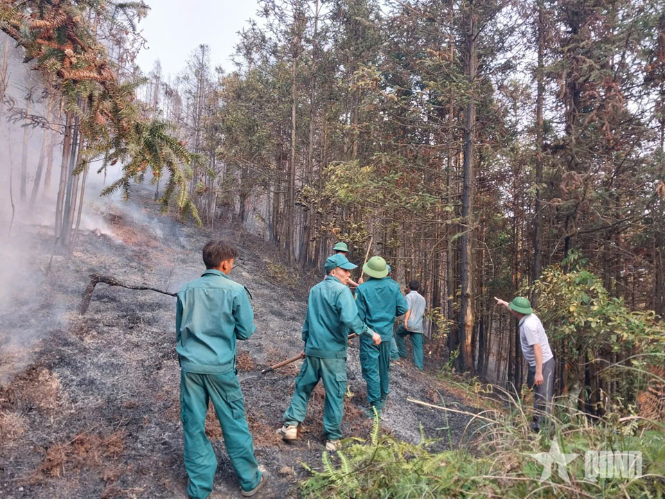Lai Châu: Hơn 100 cán bộ, chiến sĩ tham gia chữa cháy rừng

​