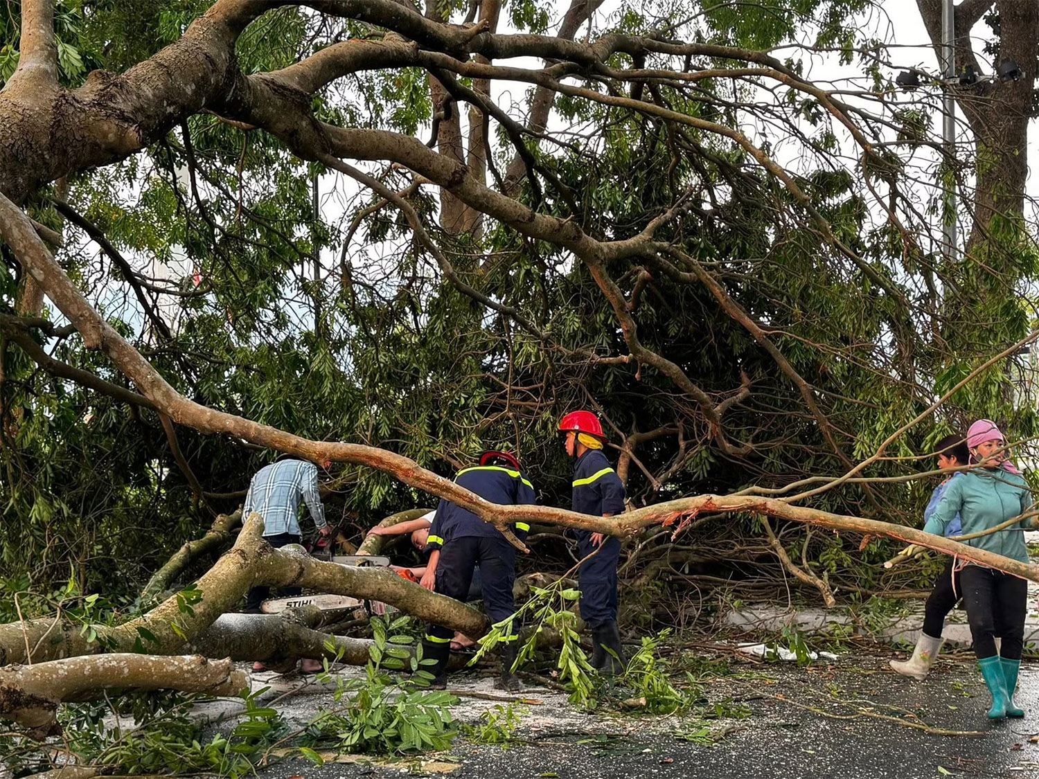 Lào Cai: Hơn 4.100 nhà ở bị hư hại sau mưa dông kèm lốc