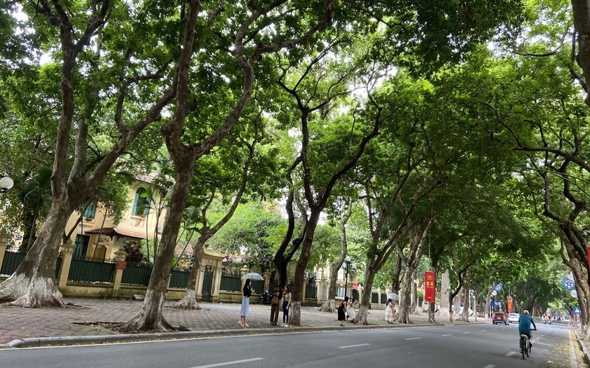 Từ ngày 1-4, Bắc Bộ trời chuyển mát