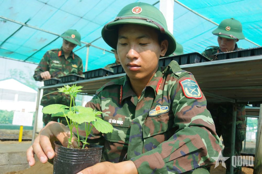 Trung đoàn 841, Bộ CHQS tỉnh Hà Tĩnh tăng gia sản xuất giỏi
