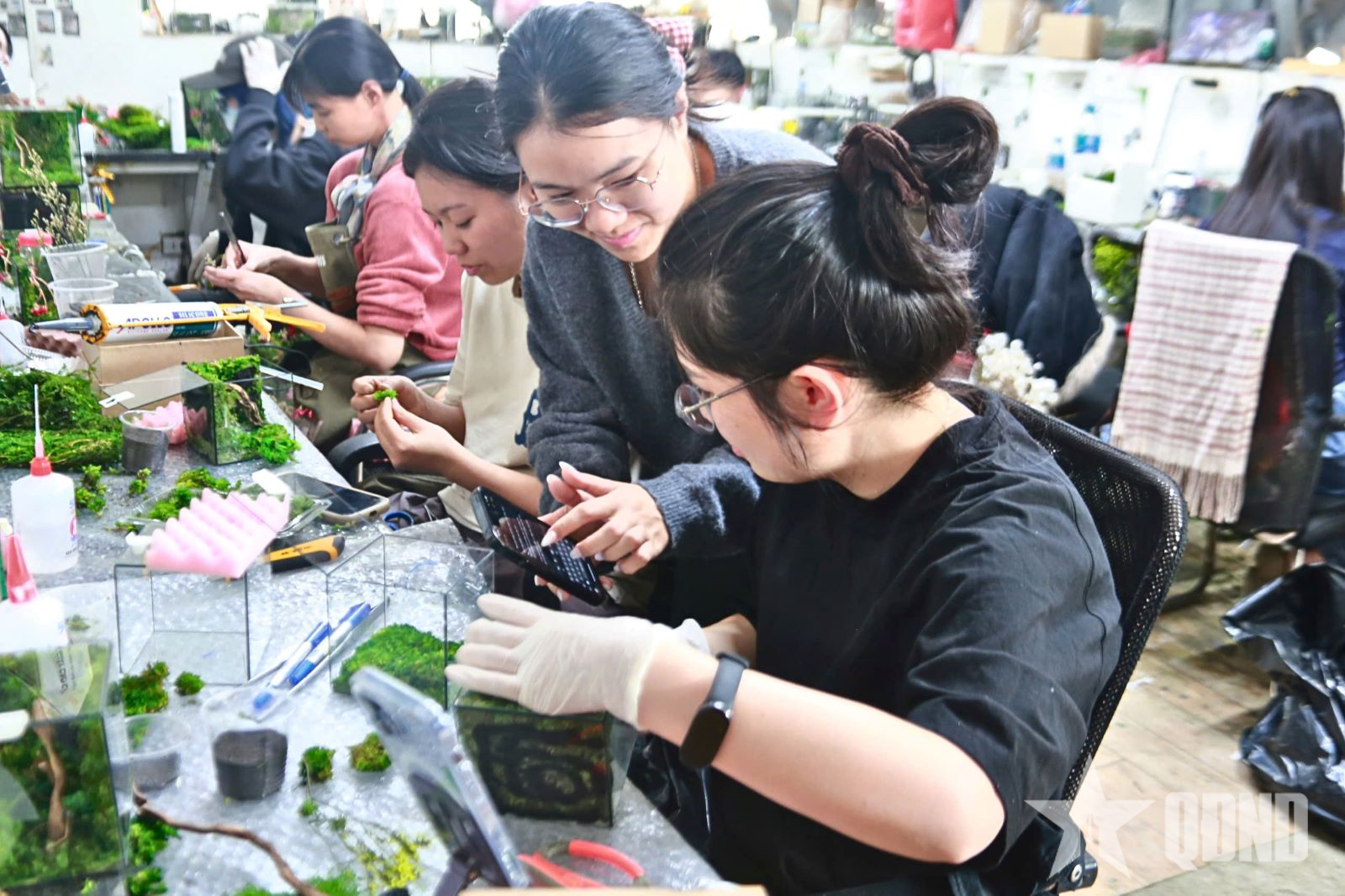 “Khu rừng nhỏ” từ những đôi tay đặc biệt