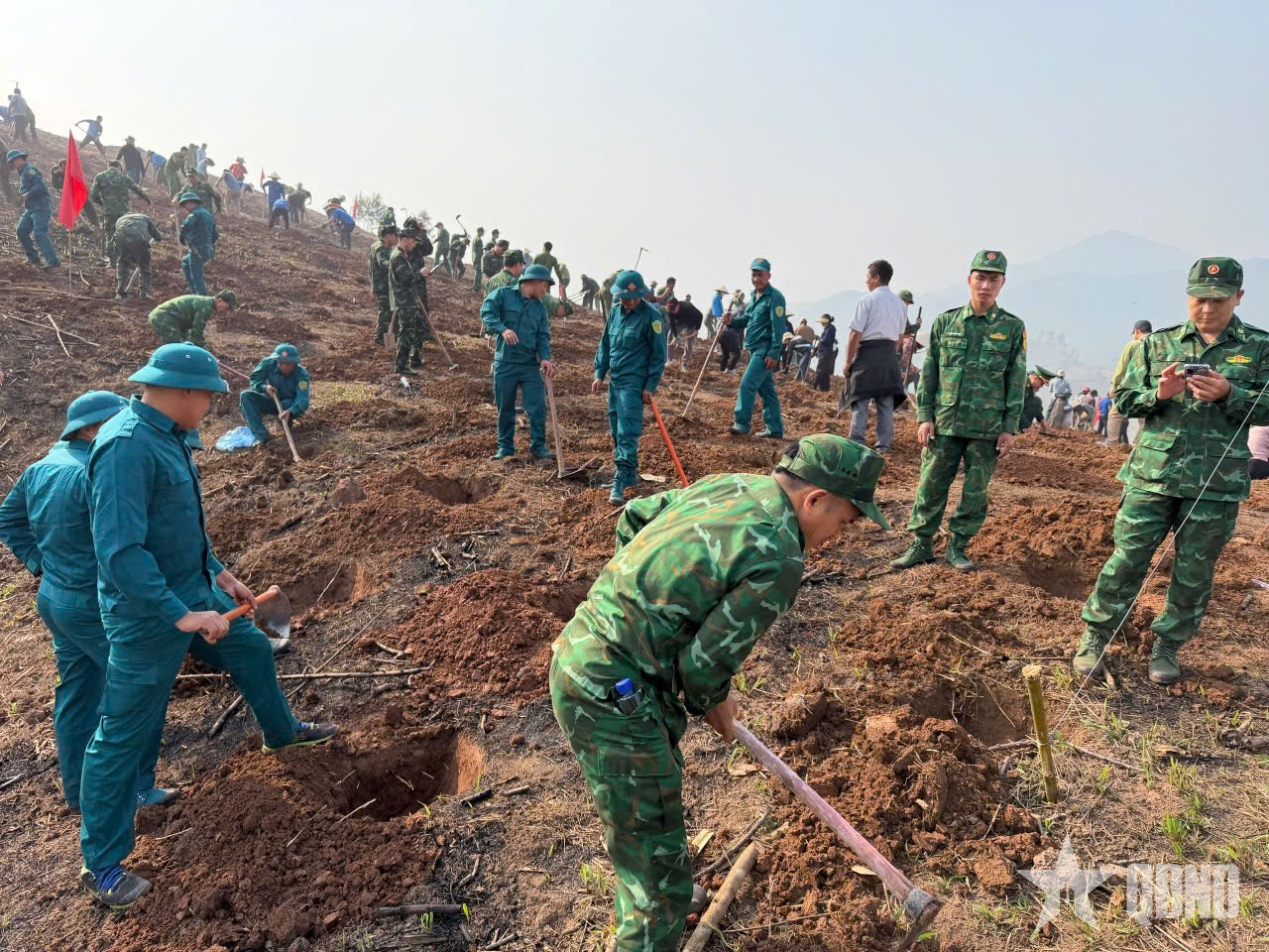 Điện Biên: Phát động phong trào trồng cây năm 2026