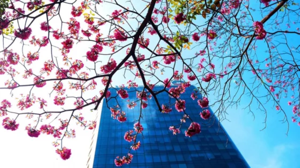 Từ ngày 6 đến 15-4, nhiều khu vực ngày nắng, chiều tối và đêm có mưa dông