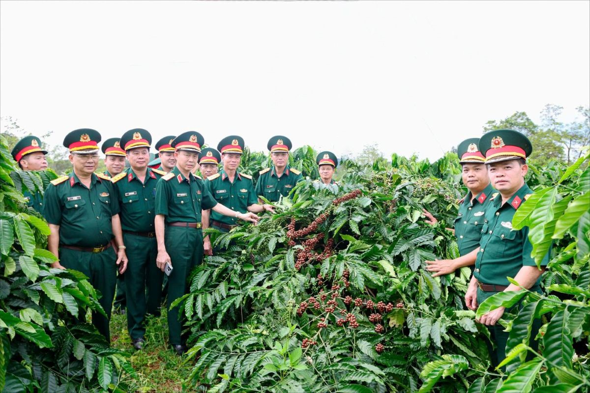 Binh đoàn 16 phát huy nguồn lực, tạo dấu ấn đột phá ở vùng phên giậu phía Nam