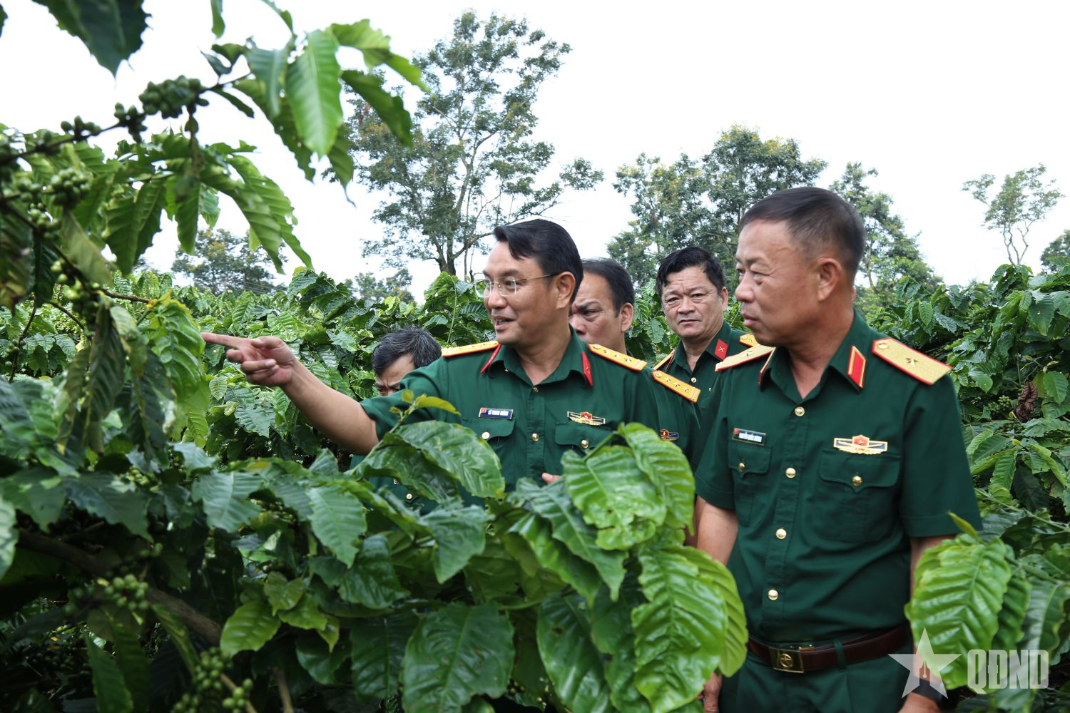 Hành trình sáng tạo của những “nhà nông áo lính”