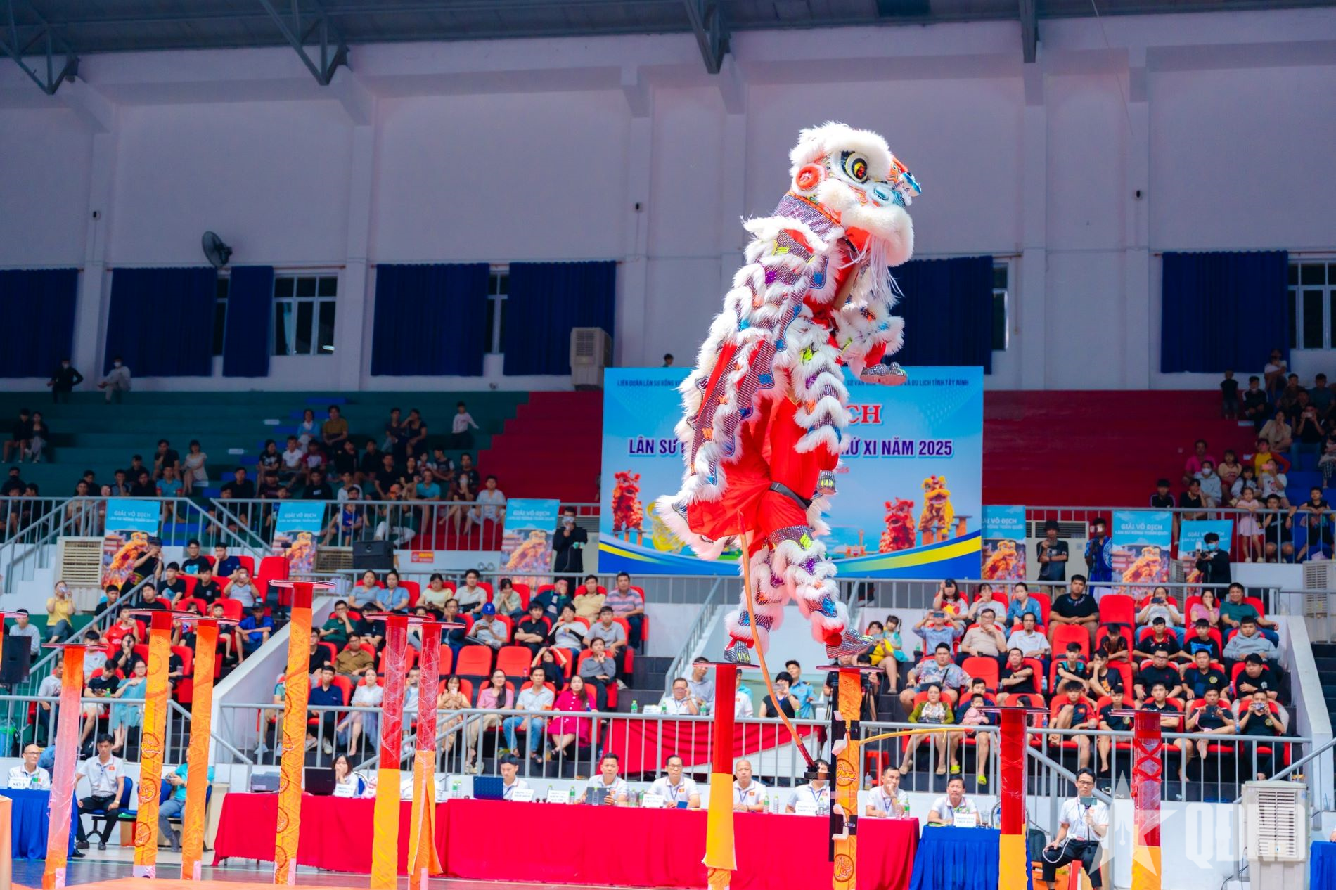 Gần 300 vận động viên dự Giải Lân Sư Rồng toàn quốc lần II - 2026 tại Đà Lạt