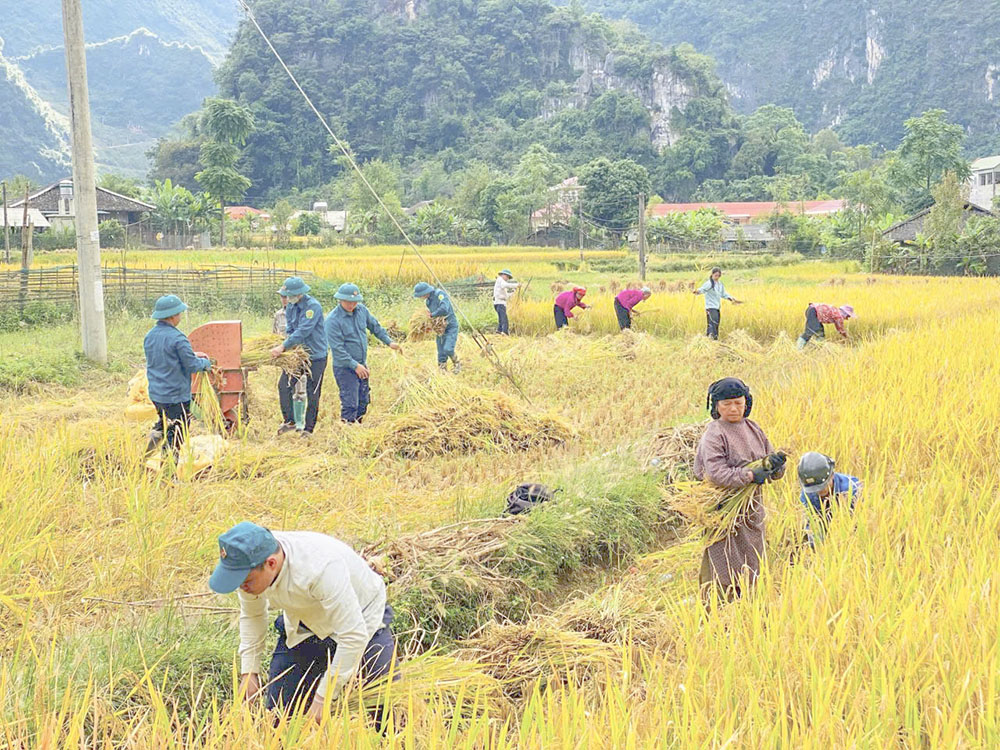 Lặng thầm “sao vuông” 