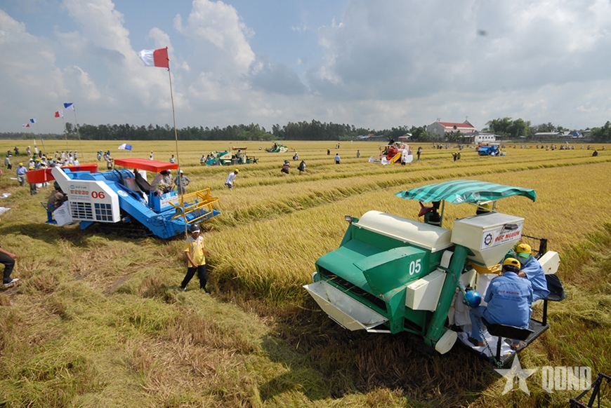 Để doanh nghiệp Đồng bằng s&ocirc;ng Cửu Long vượt kh&oacute; trước &aacute;p lực bủa v&acirc;y