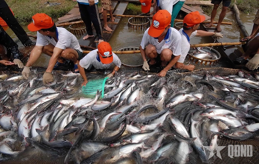 Để doanh nghiệp Đồng bằng s&ocirc;ng Cửu Long vượt kh&oacute; trước &aacute;p lực bủa v&acirc;y