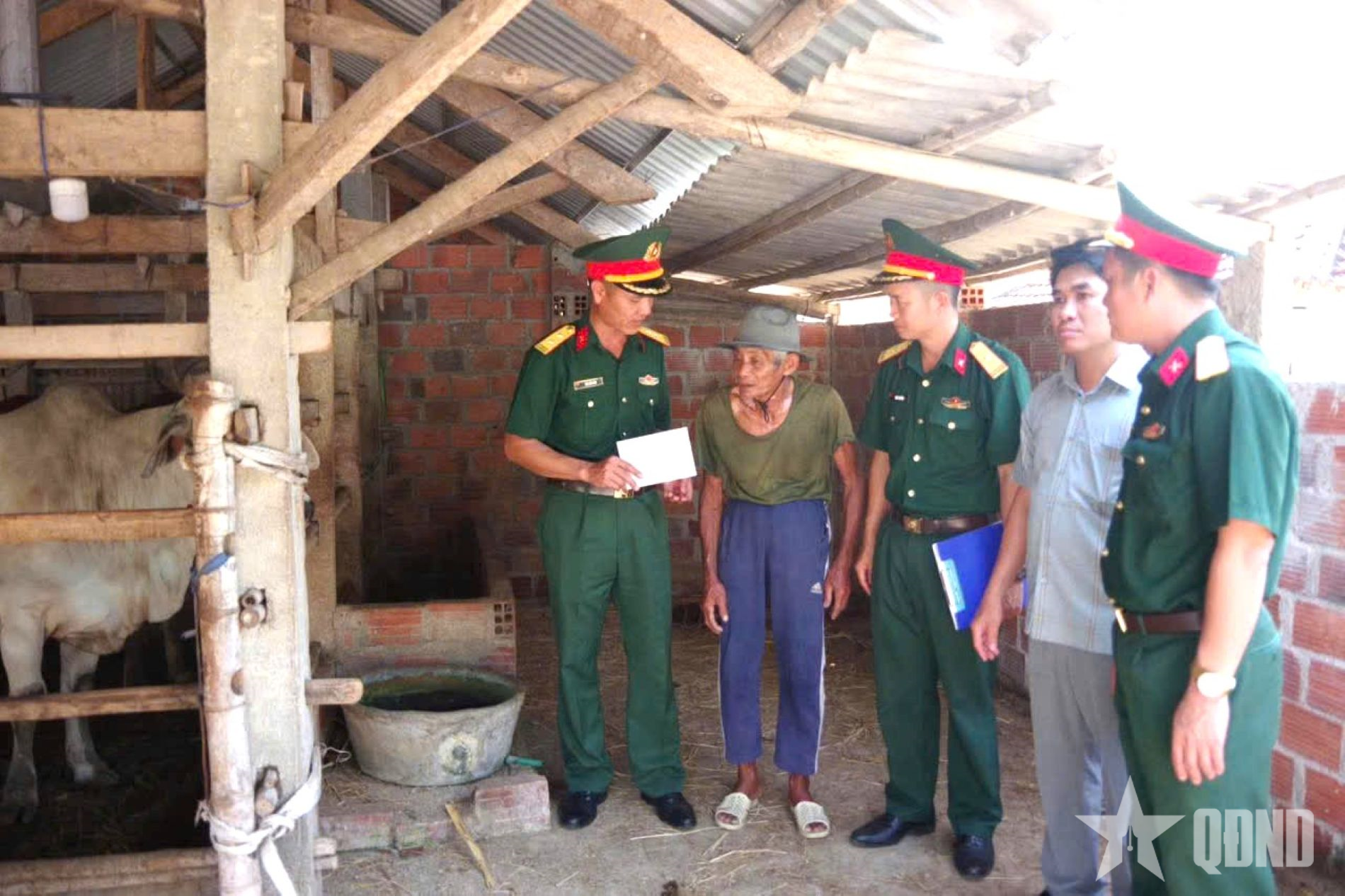 Lữ đoàn 572 (Quân khu 5) chung tay hỗ trợ hộ nghèo ổn định cuộc sống