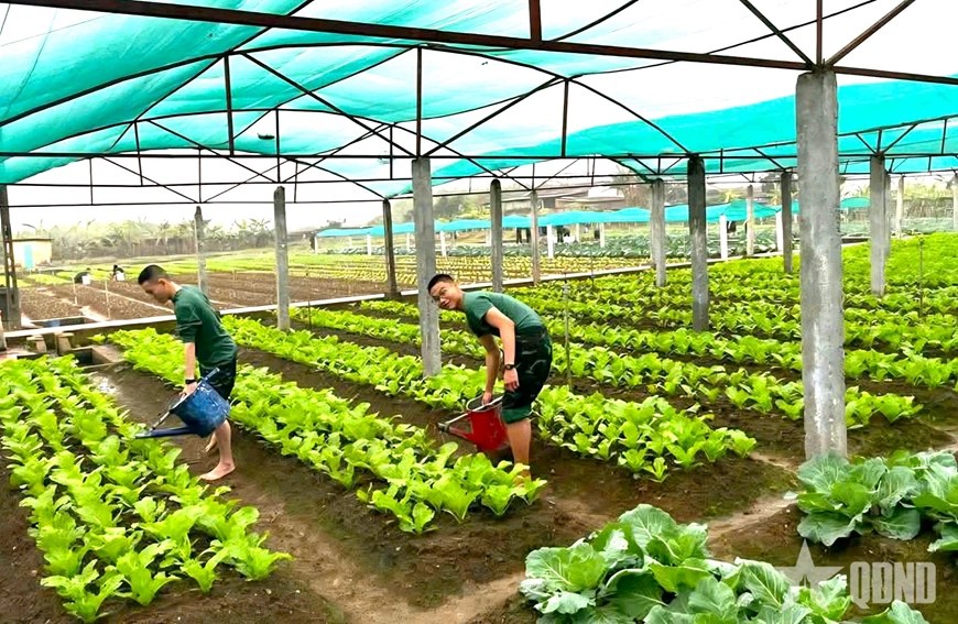 Lữ đoàn 299: Tăng gia sản xuất thiết thực, hiệu quả bền vững