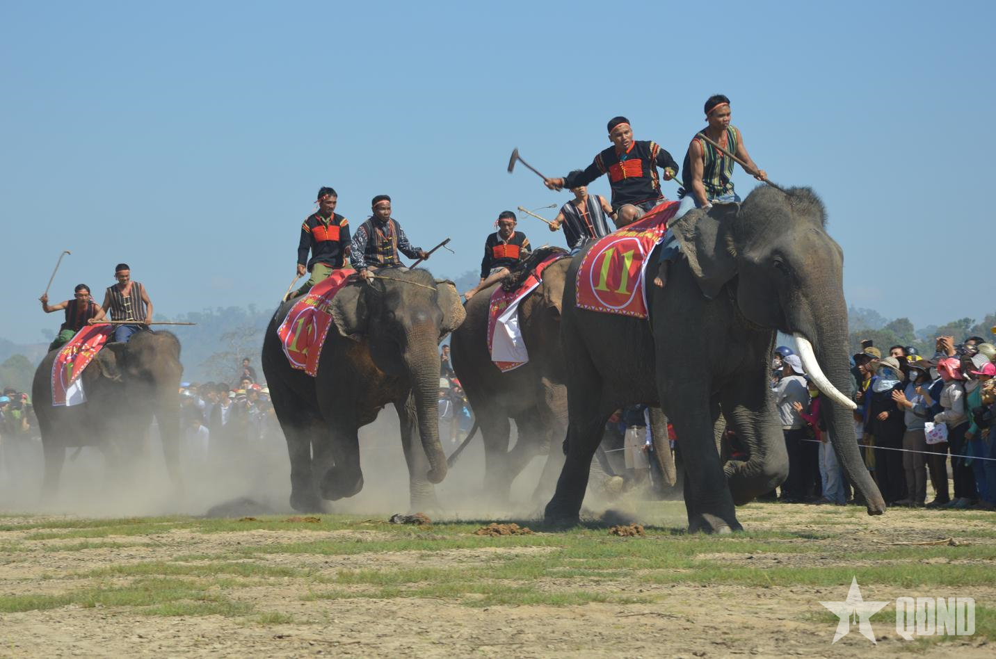 Biển - rừng hội tụ, Đắk Lắk mở hướng du lịch xanh, bền vững