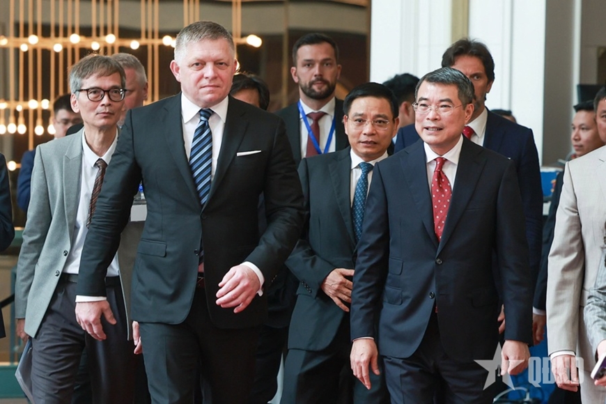 Diễn đàn doanh nghiệp Việt Nam - Slovakia