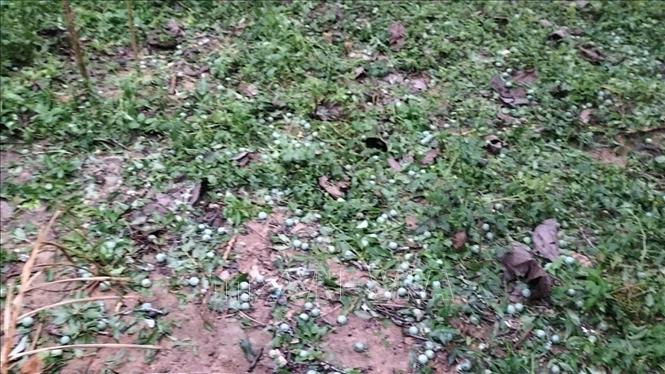 Mưa đá tại xã Bắc Hà, Lào Cai khiến 4 người bị thương 

