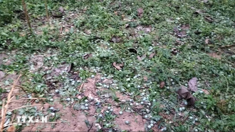 Dông lốc, mưa đá làm 5 người chết và bị thương, hơn 1.000 ngôi nhà bị thiệt hại