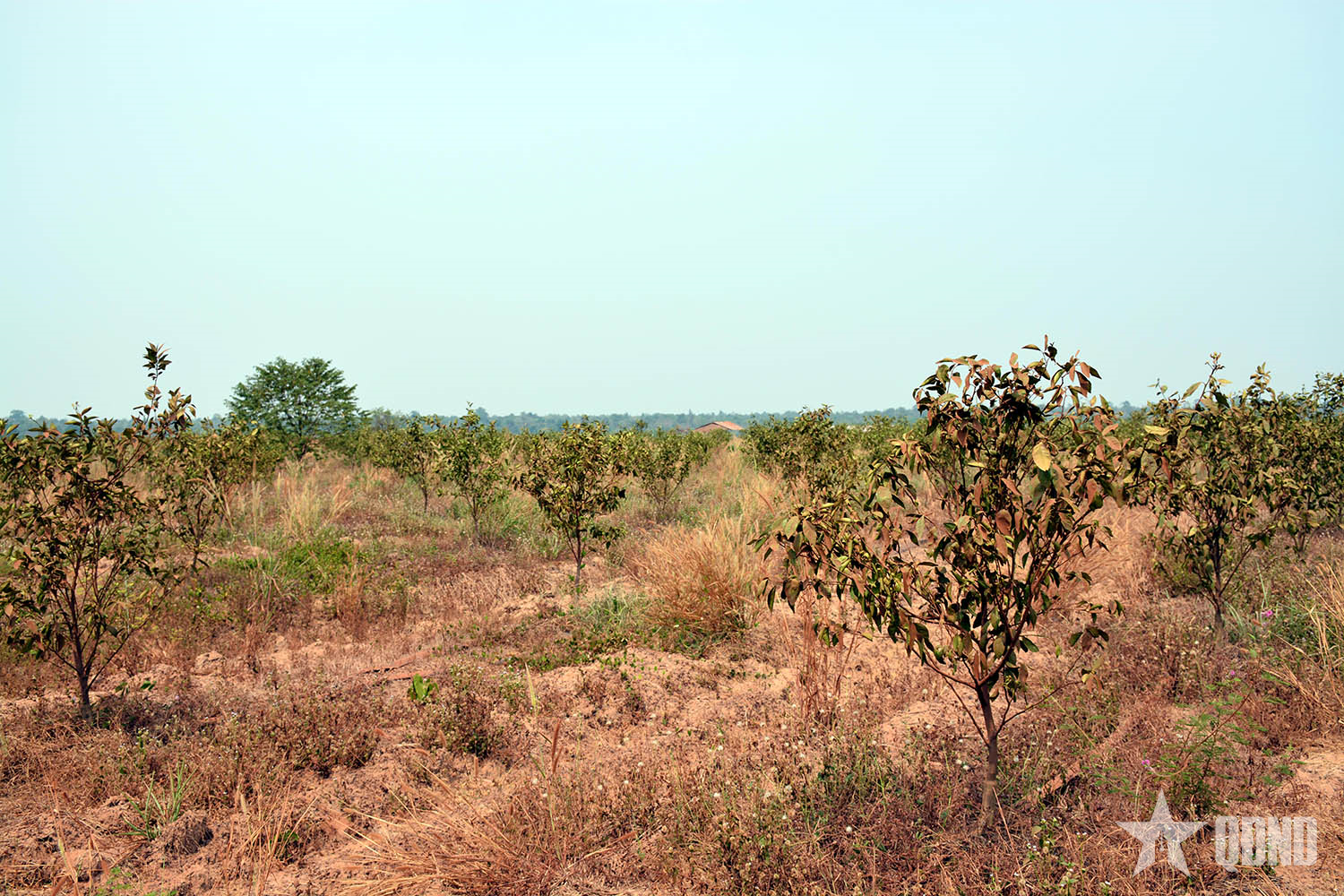 Cảnh báo giữa năm nay El Nino mạnh, nguy cơ hạn hán, thiếu nước và bão mạnh