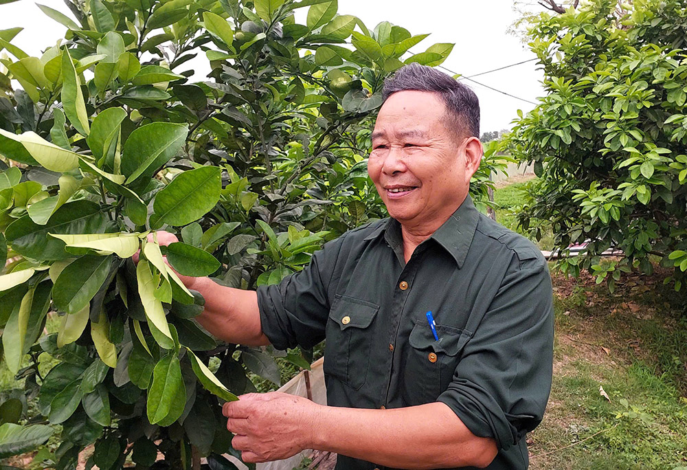 Vượt khó vươn lên, lan tỏa nghĩa tình