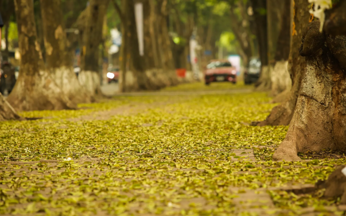 Thời tiết hôm nay (20-4): Bắc Bộ mưa rào, Nam Bộ ngày nắng nóng