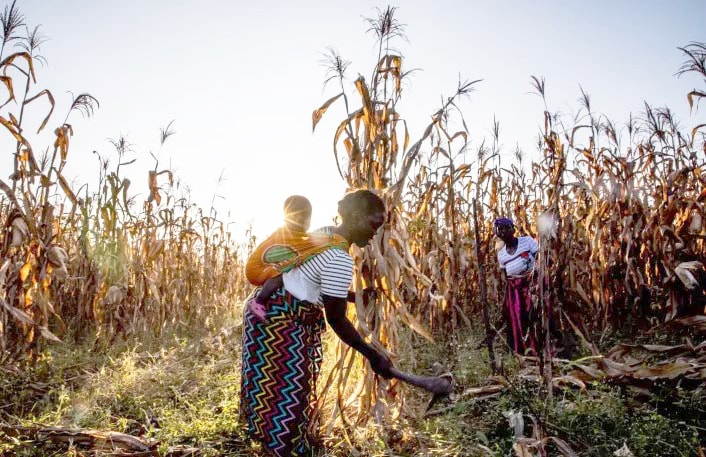 Xung đột Trung Đông: Những “điểm gãy” kinh tế toàn cầu