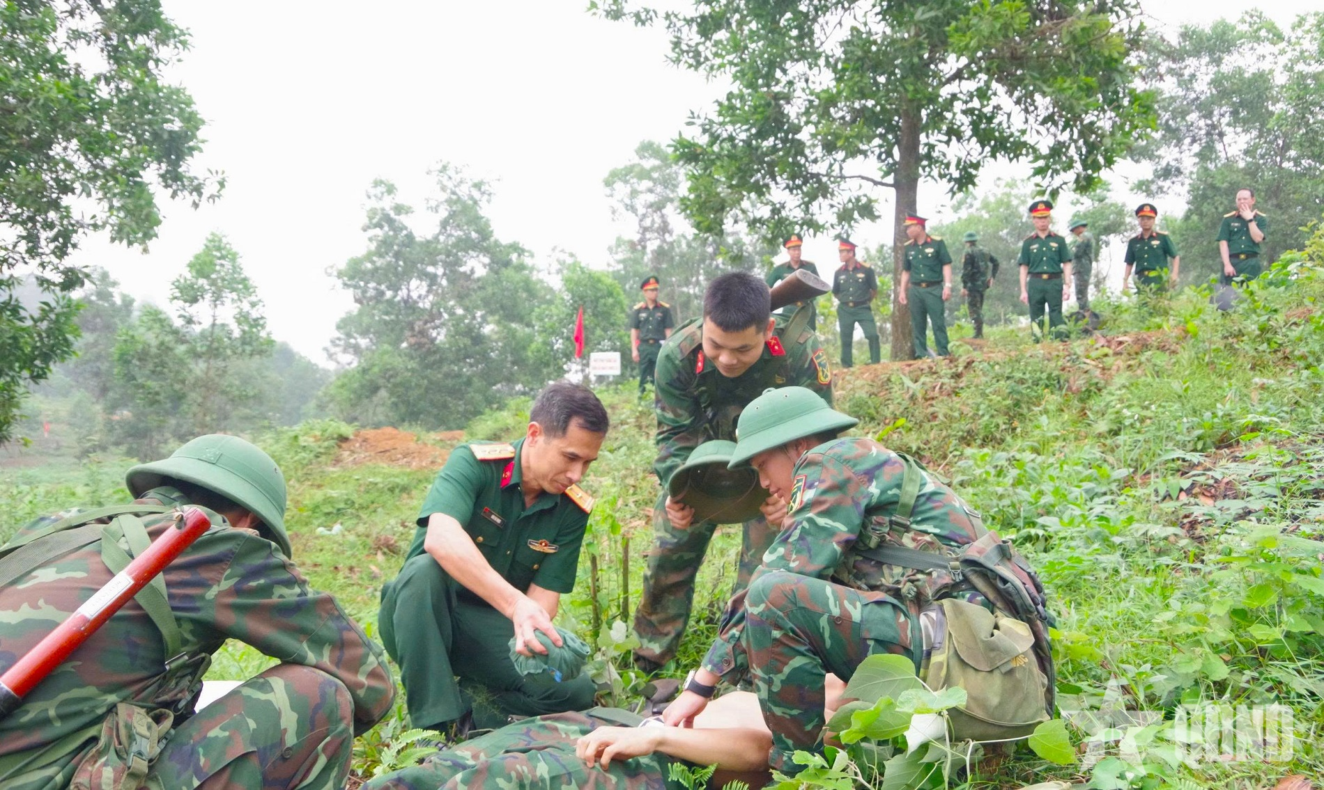 Coi trọng phòng, chống dịch bệnh, phòng chống say nắng, say nóng