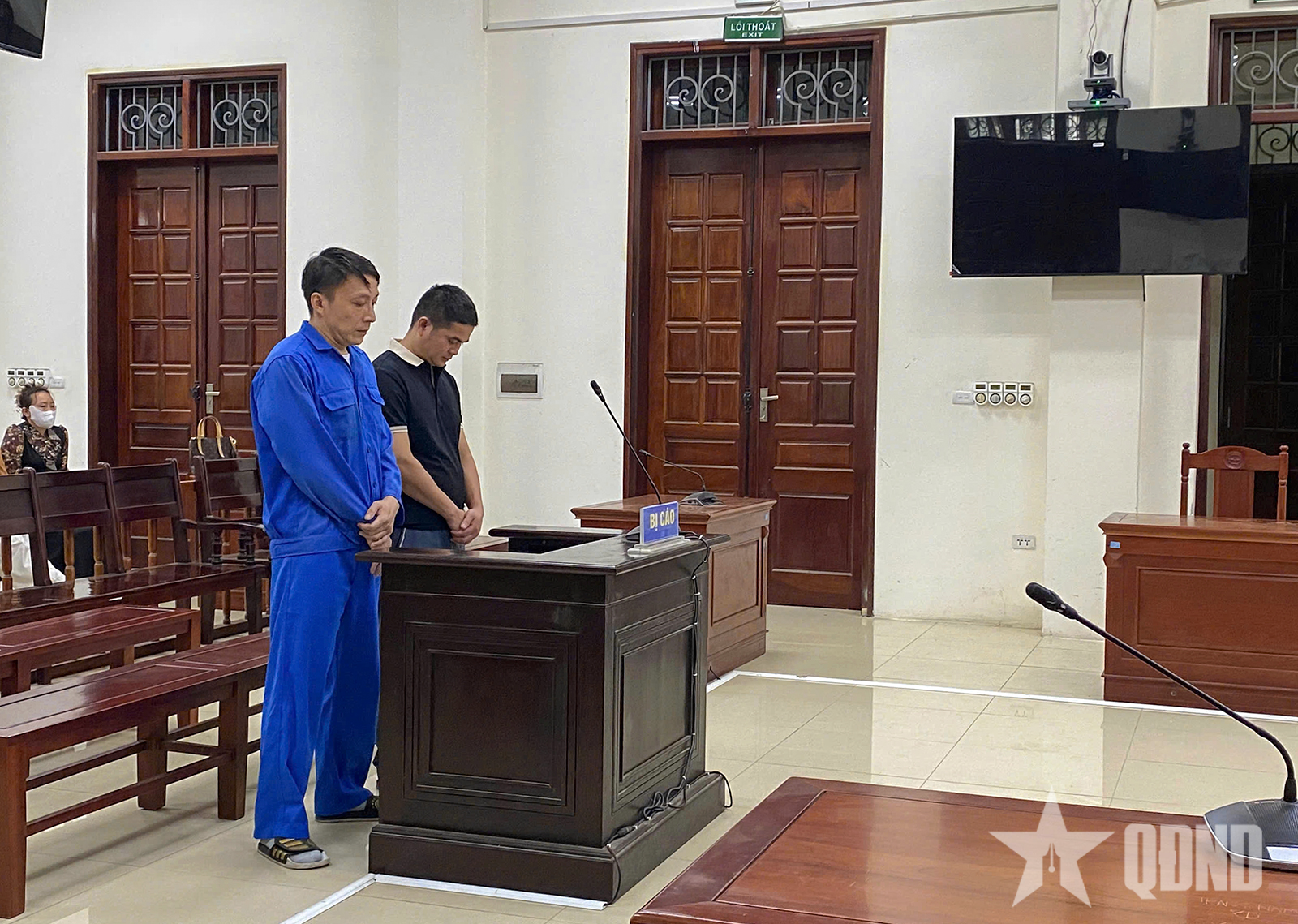 16 năm tù với hai đối tượng buôn bán 900kg vảy tê tê