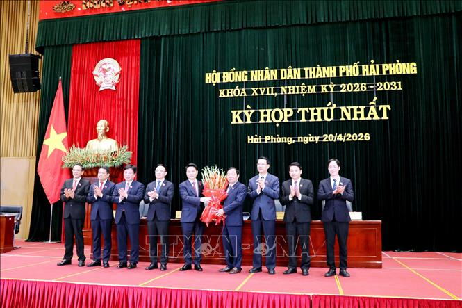 Phê chuẩn đồng chí Đỗ Thành Trung giữ chức Chủ tịch UBND TP Hải Phòng