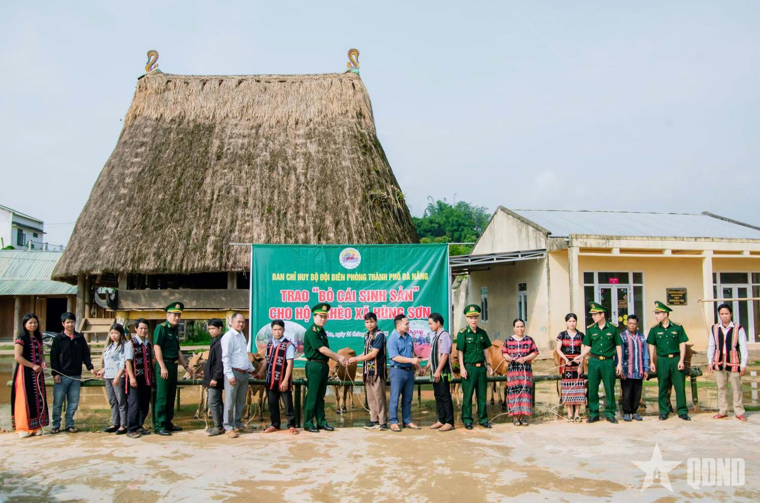 Bộ đội Biên phòng TP Đà Nẵng trao bò cái sinh sản cho hộ nghèo biên giới

