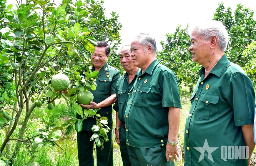 Bản lĩnh cựu chiến binh Tây Ninh trên “mặt trận” kinh tế