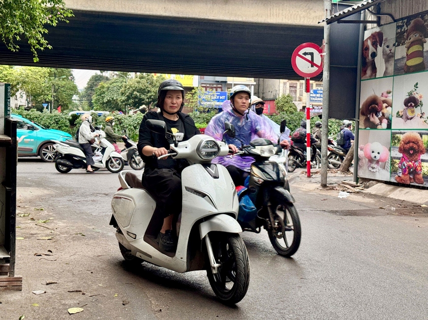 Cần ch&iacute;nh s&aacute;ch r&otilde; r&agrave;ng v&agrave; lộ tr&igrave;nh cụ thể