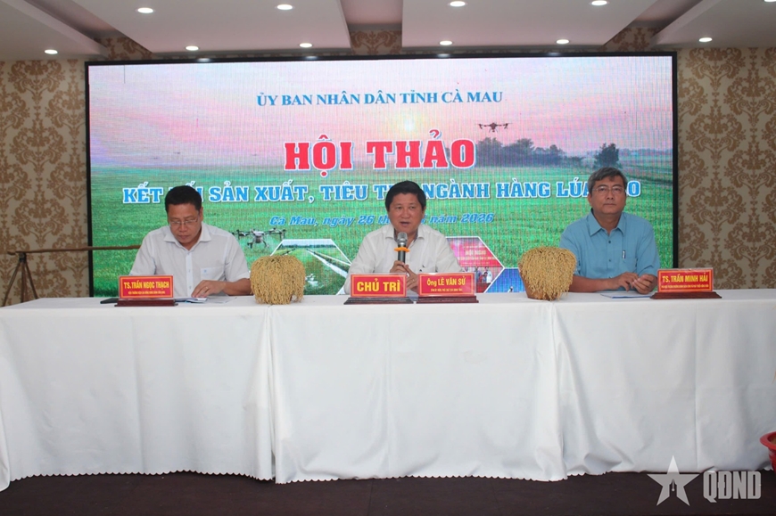 Li&ecirc;n kết l&uacute;a gạo C&agrave; Mau: Doanh nghiệp-n&ocirc;ng d&acirc;n chưa gặp nhau ở lợi &iacute;ch