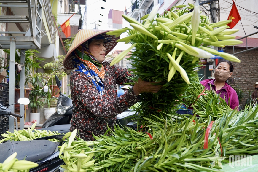 M&ugrave;a loa k&egrave;n khởi sắc tr&ecirc;n đất Thủ đ&ocirc;