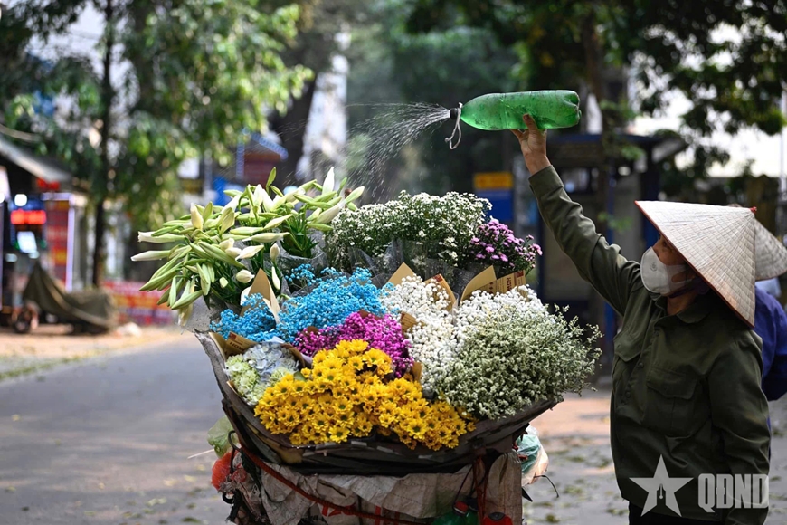 M&ugrave;a loa k&egrave;n khởi sắc tr&ecirc;n đất Thủ đ&ocirc;