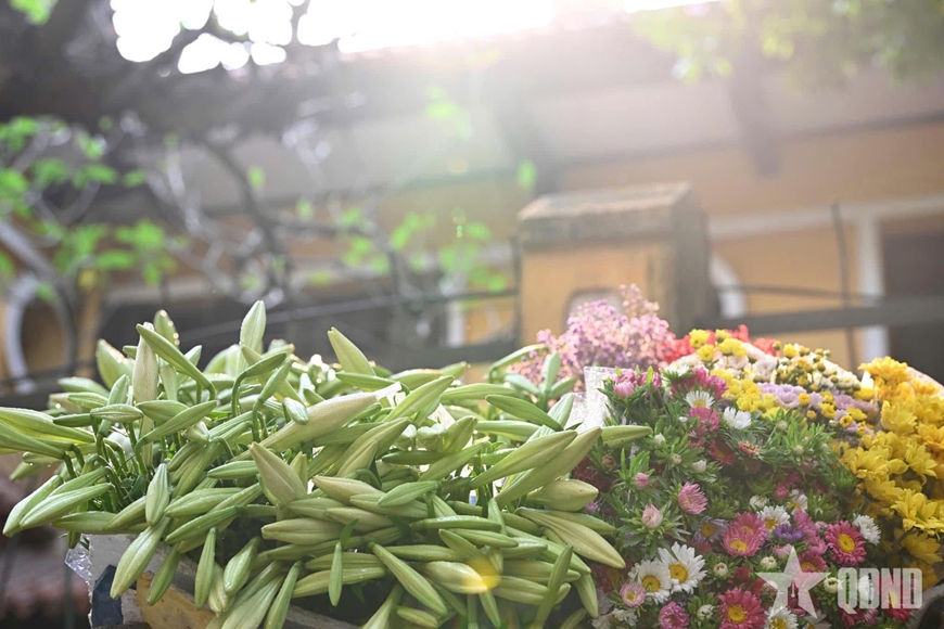 M&ugrave;a loa k&egrave;n khởi sắc tr&ecirc;n đất Thủ đ&ocirc;