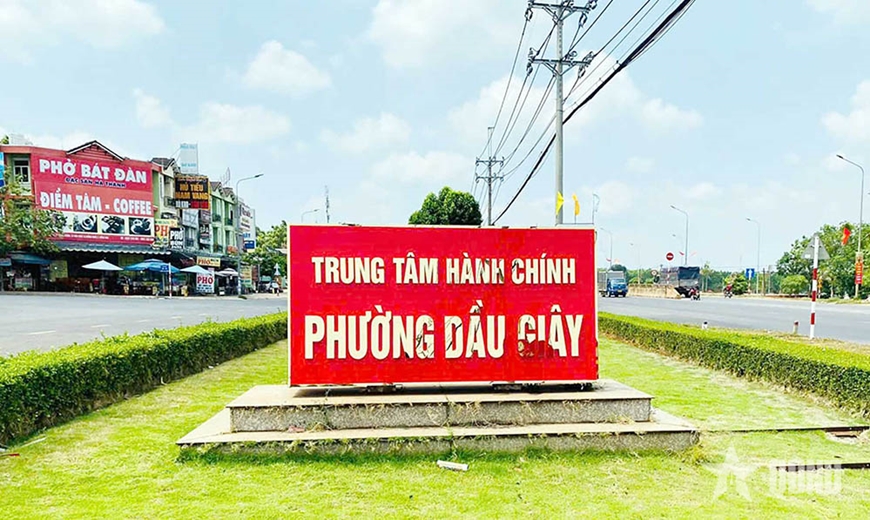 Rực rỡ sắc m&agrave;u ng&agrave;y đầu th&agrave;nh lập th&agrave;nh phố Đồng Nai