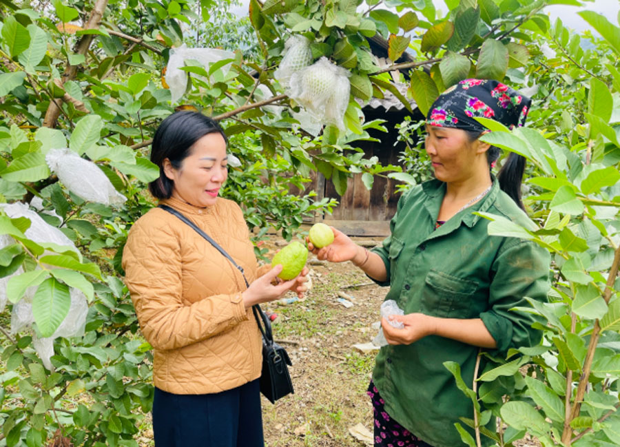 Đẩy mạnh phát triển kinh tế, nâng cao đời sống nhân dân