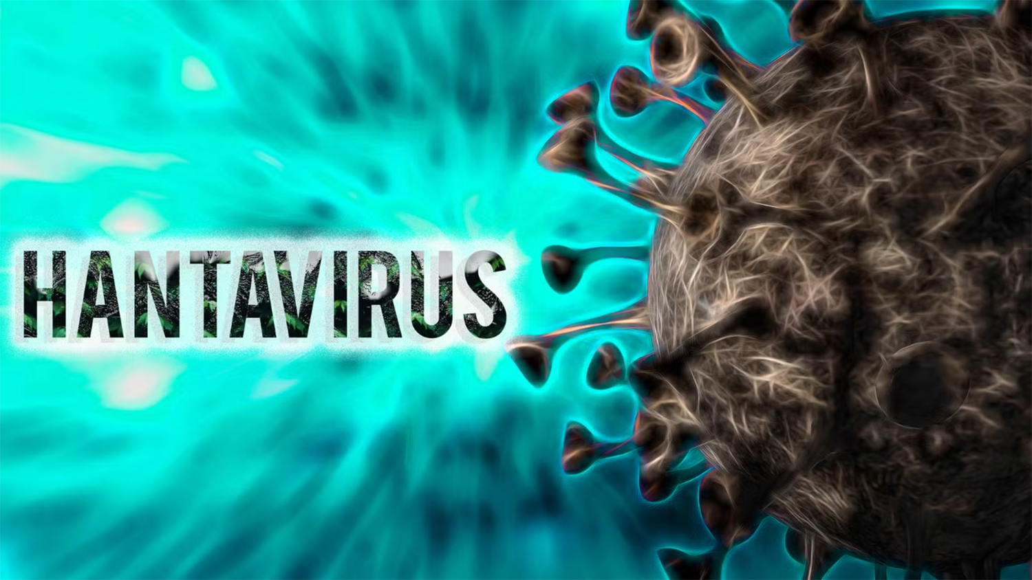 Việt Nam chưa ghi nhận trường hợp mắc bệnh do virus Hanta trên người