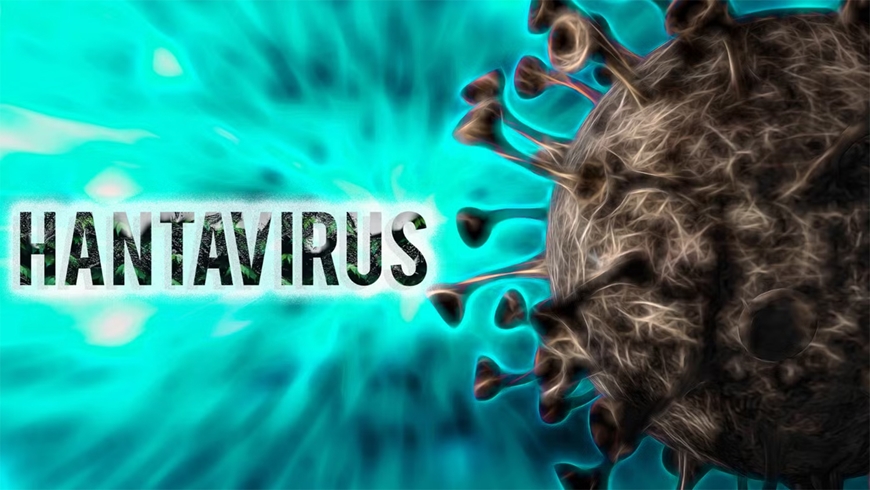 Việt Nam chưa ghi nhận trường hợp mắc bệnh do virus Hanta tr&ecirc;n người