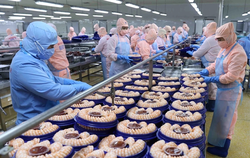 Thủy sản Việt Nam kỳ vọng vượt mốc 12 tỷ USD