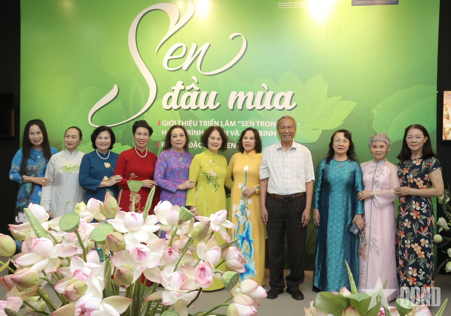 “Sen trong đá” - biểu tượng của sức sống bất diệt và khát vọng hòa bình