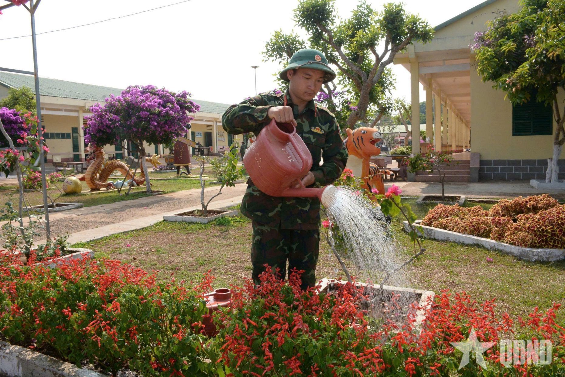 Đoàn Mang Yang - không gian xanh mát giữa lưng đèo