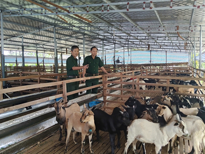 Cựu chiến binh làm giàu từ chăn nuôi dê